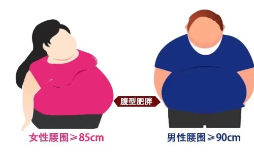 盐酸氟桂利嗪胶囊详细说明书-盐酸氟桂利嗪胶囊说明书西安杨森网盐酸氟桂利嗪胶囊的功效与作用量知识网站,分享盐酸氟桂利嗪胶囊使用说明书大全